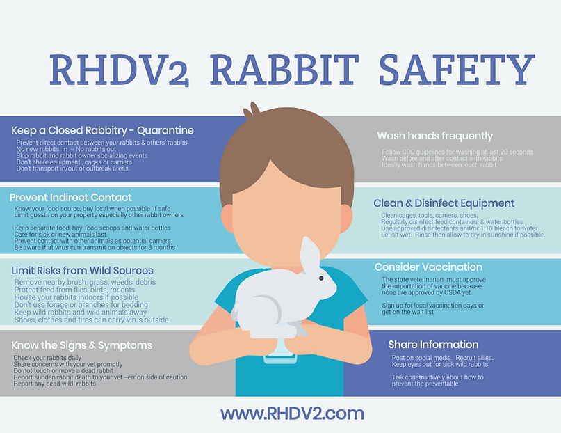 EDUCATION RHDV2 RABBIT HEMORRHAGIC DISEASE USA INFORMATION